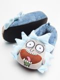 rick and morty slippers