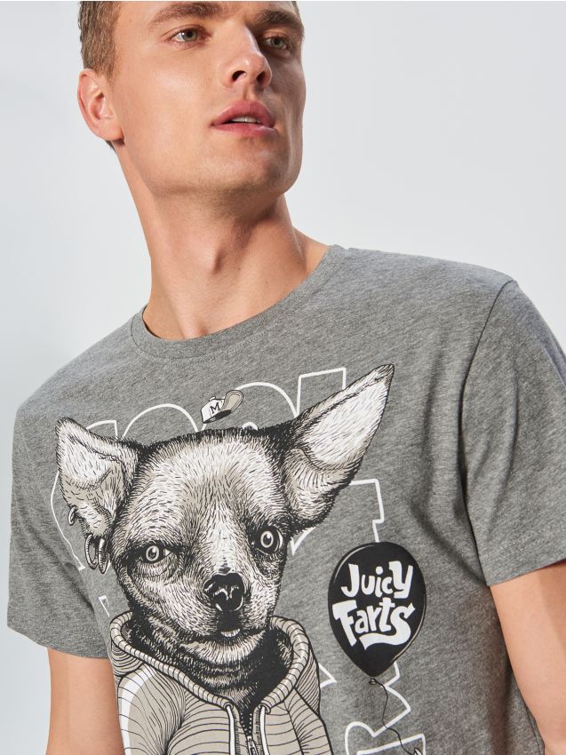 T-shirt with large print - grey - VC142-90M - CROPP