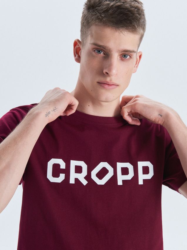 Cropp printed T-shirt - brown - VD240-83M - CROPP